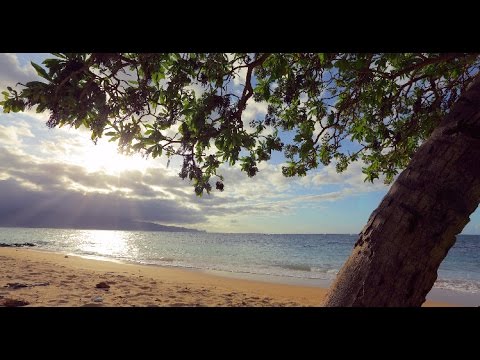 Canon EOS 5D Mark IV Sample Movie: Trip to the Beach