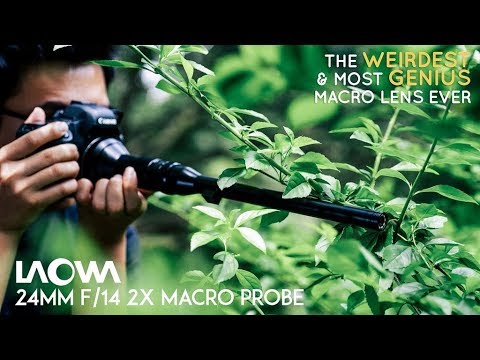 Revolutionize Macro Videography: Laowa 24mm f/14 Probe Lens