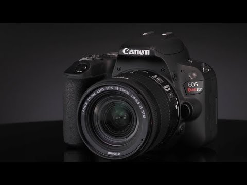 Introducing the Canon Rebel SL2 Digital Camera