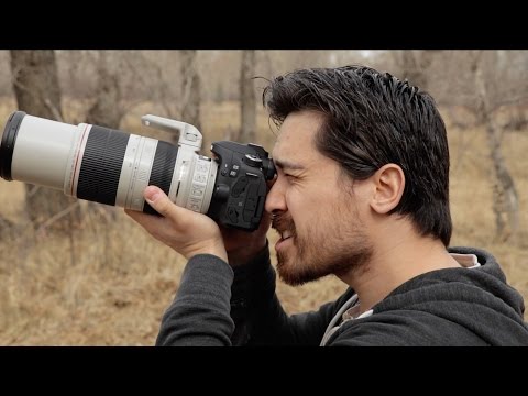 Canon EOS 80D Hands-On Field Test