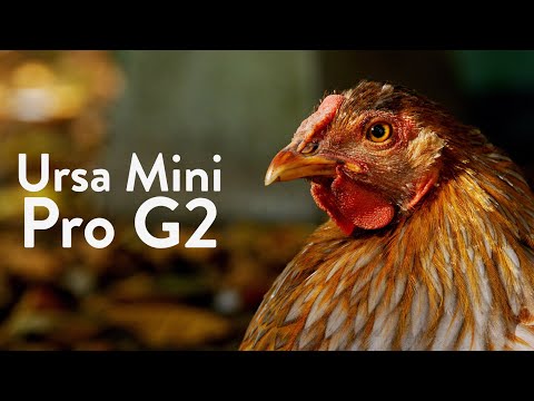 Blackmagic Ursa Mini Pro 4.6k G2 (Sample Footage)