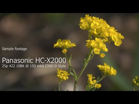 Panasonic HC-X2000 sample footage
