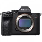 Could Sony A7R IV Be Your Next Best Camera for Shooting Stills?